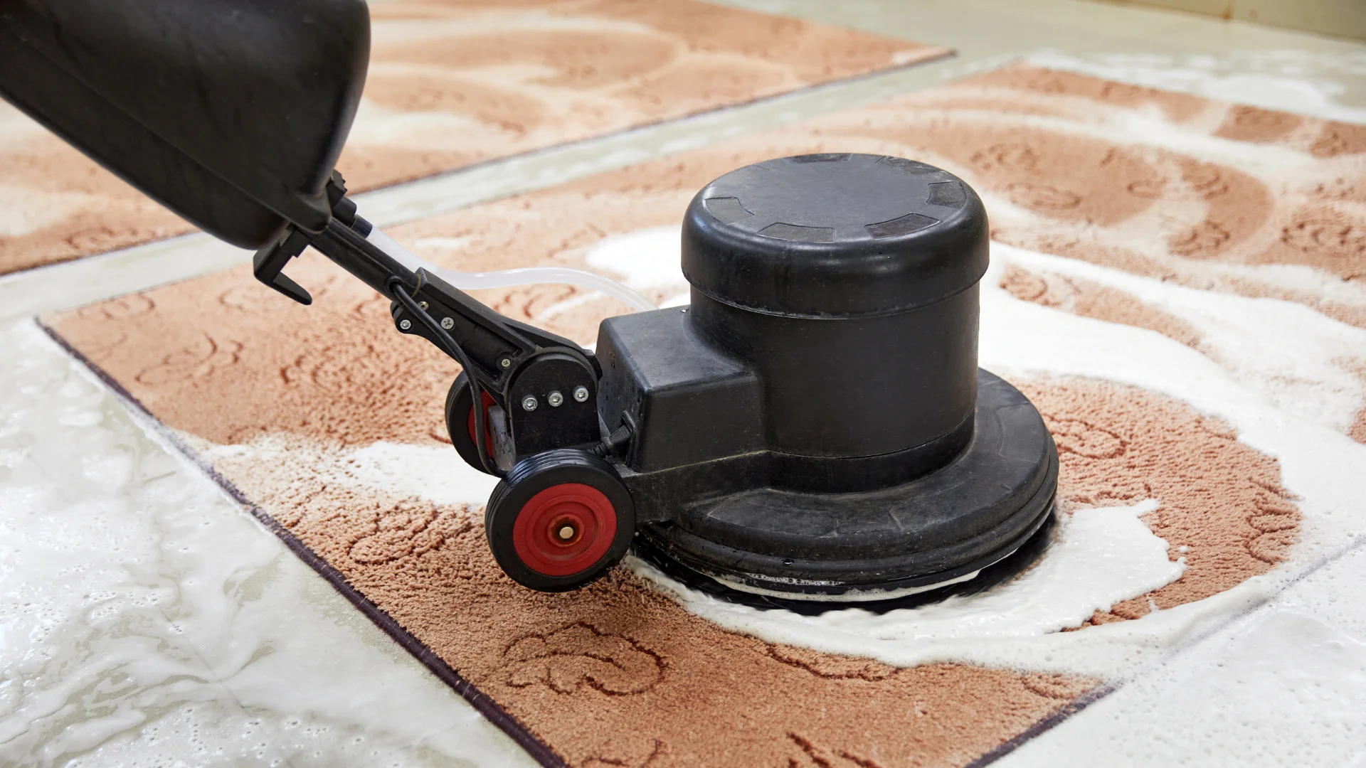 carpet cleaning 3